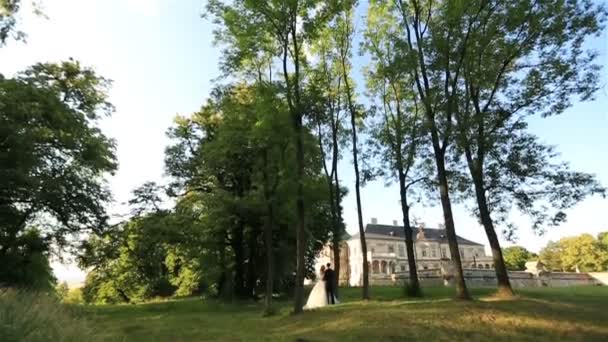 Attraktiv ung bröllop par hålla händer nära en gammal medeltida borg i skogen — Stockvideo