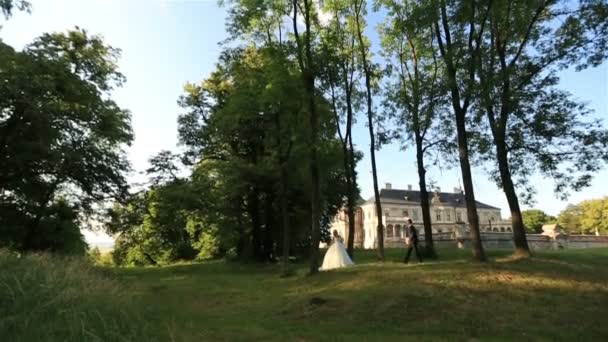 Noiva elegante em vestido branco e noivo em terno andando perto de um castelo velho — Vídeo de Stock