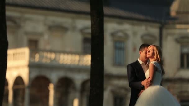 Stylish happy wedding couple on the background beautiful renaissance old castle. Romantic newlywed groom and bride. — Stock Video