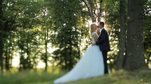 Jolie jeune couple de mariage embrassant doucement dans la forêt. Beau coucher de soleil sur fond. Moment charmant — Video