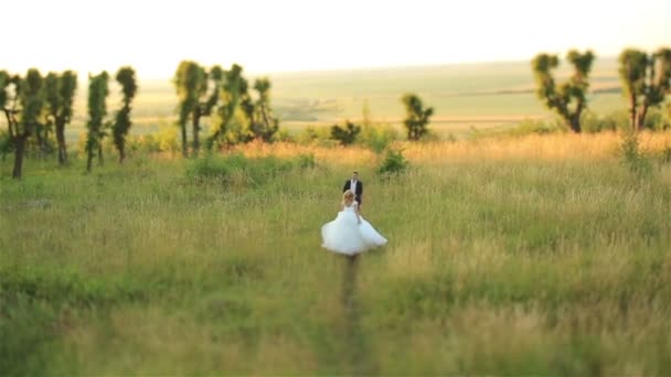 Hermosa pareja casada corriendo en un campo, divirtiéndose y sonriendo. Novia rubia está mirando hacia atrás . — Vídeos de Stock