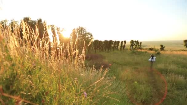 Atractivos jóvenes novios divirtiéndose en el campo, iluminados con rayos de sol. Luna de miel en el campo — Vídeos de Stock