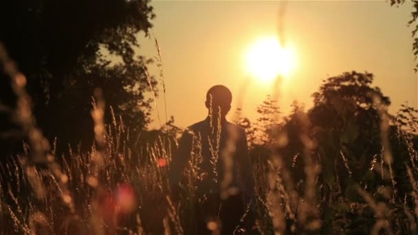 Pohledný ženich pěšky přes pole pšenice v krásný západ slunce. — Stock video