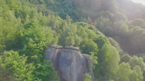 Красивий хлопець бодібілдер тренується на скелястій горі. Зелений лісовий пейзаж на фоні. Дивовижний момент — стокове відео