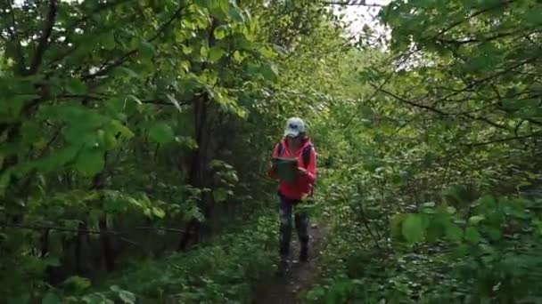Troublé touriste active féminine navigue sur le sentier forestier d'été avec une carte papier — Video