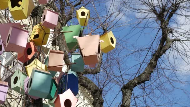 Árbol sin hojas de la calle de la ciudad lleno de linternas coloridas de lujo, decoradas como pajareras, balanceándose al viento — Vídeos de Stock