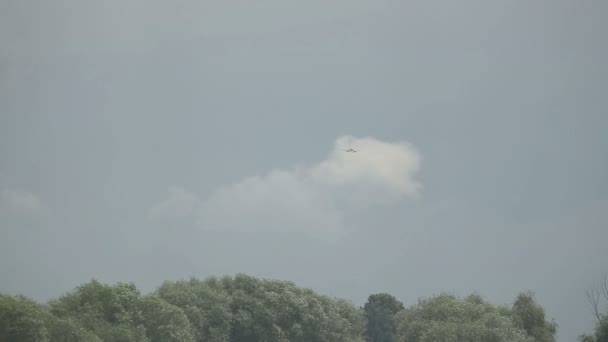 Віддалений пасажирський авіалайнер приземляється. Хмарне сіре небо і ліс як фон — стокове відео
