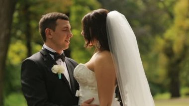 Güzel gelin ve damat öpecek evlendim. Açık yaz park ile arka plan olarak vurdu.