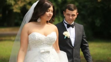 Muhteşem gelin güneşli yaz park ile onun zarif damat yürür yürür. Açık yavaş hareket ile vurdu