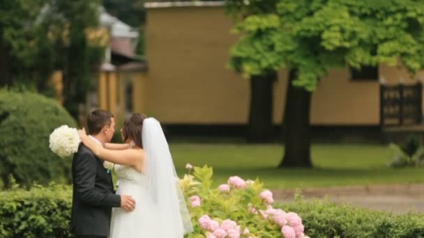 Glückliche Brautpaare, die sich umarmen, im grünen Sommerpark. schöner Bräutigam umarmt zärtlich seine schöne Braut — Stockvideo