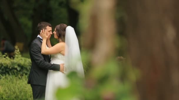 Recém-casados alegres abraçando e fazendo um beijo esquimó no parque de verão verde. Bonito noivo ternamente abraça sua linda noiva — Vídeo de Stock