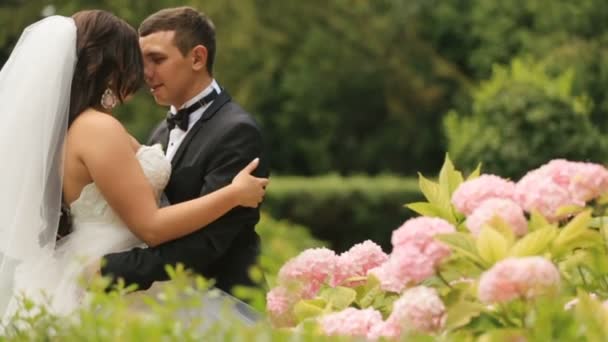 Pembe çiçekli yeşil yaz parkta kucaklayan neşeli yeni evliler. Yakışıklı damat şefkatle kucaklayan güzel gelini — Stok video