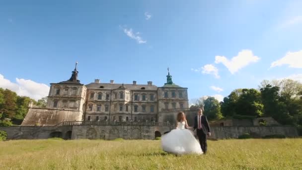 Milující ženich chodí s krásnou nevěstu na louce nedaleko starého hradu. Nádherná modrá obloha s malými mraky jako pozadí — Stock video