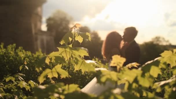 Noivo elegante e noiva bonita em vestido branco têm momento sensual no parque da noite perto do palácio vintage romântico em raios quentes do pôr do sol — Vídeo de Stock