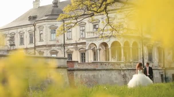 Feliz enloved newlyweds passeio no gramado verde perto do palácio antigo, segurando as mãos — Vídeo de Stock