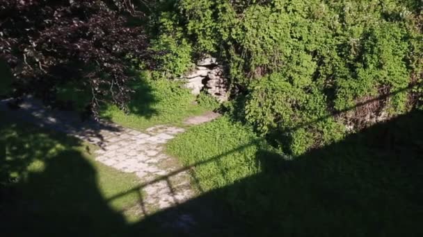Skuggor av enloved par på gröna buskar och gräs. Älskande par promenader, sedan dela en kyss på en bro — Stockvideo