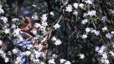 Şehvetli çift çiçek açması vişne Bahçesi küçük beyaz çiçekler tam ağacın altında gizlilik bulundu. Güzel kızla sarılma yakışıklı genç