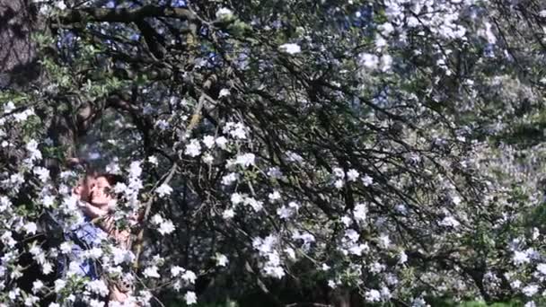 Momento sensual en huerto de cerezos bajo un árbol lleno de pequeñas flores blancas. Guapo joven hombre abrazando hermosa chica — Vídeos de Stock