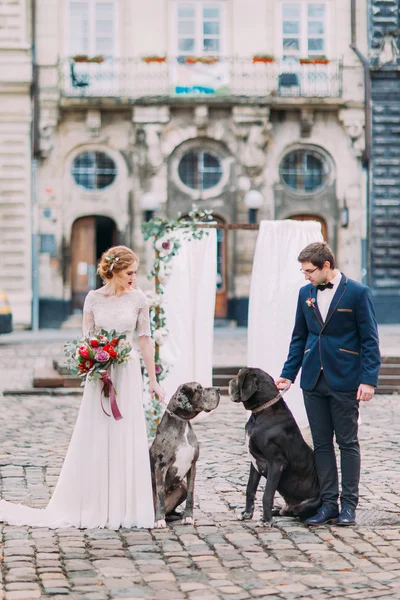 Casal elegante com dois cães de raça pura no antigo centro da cidade europeia — Fotografia de Stock