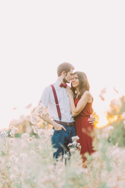 Atractiva joven feliz pareja abrazándose en el hermoso campo de verano al atardecer — Foto de Stock