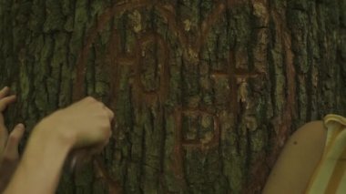 Bir kalp close-up bir ağaç ve seven çift genç eller üzerinde oyulmuş. Yeşil orman arka plan