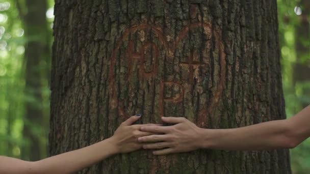 Un tenero momento d'amore. Primo piano di tenersi per mano di coppia affettuosa giovane su uno sfondo di un cuore scolpito su un albero in foresta di primavera verde — Video Stock