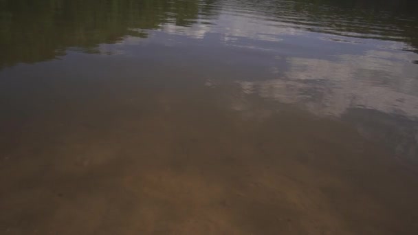 Smartphone moderno cai na água do lago com salpicos em torno dele — Vídeo de Stock