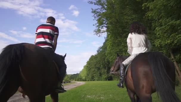 Blick von hinten auf glückliches Familienpaar, das gemeinsam Pferde im grünen Park reitet — Stockvideo