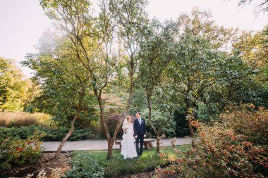 Aşık güzel çift yavaşça düğün gününde el ele tutuşarak . Güzel Avrupa park arka plan