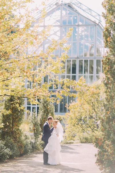 Stílusos gyönyörű boldog esküvő pár csók és felölelő botanikus kert. Napsütéses nyári napok — Stock Fotó