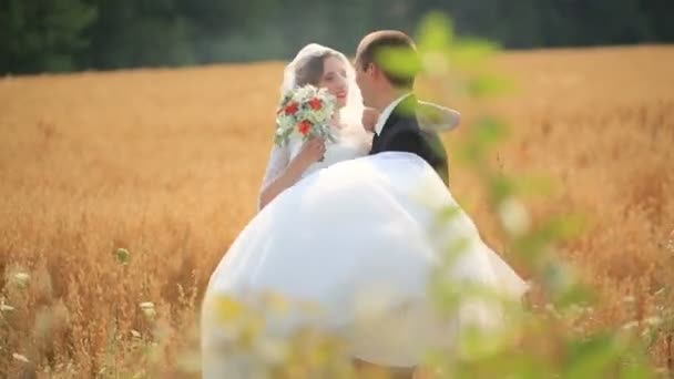 Groom holds in hands his beautiful bride and kisses her on the wheat field — Stock Video