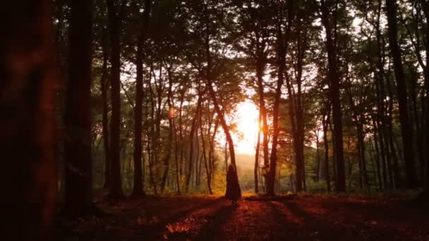 Kvinna går mot magnifik solnedgång i skogen. Solen bryter igenom träd — Stockvideo