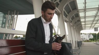 Smokinli genç ve yakışıklı iş adamı elinde köpek yavrusuyla taksi bekliyor. Şehir arkaplanı
