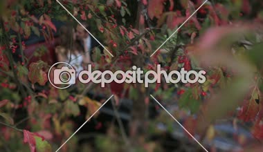 Samimi bir atmosfer retro otomobilin arka koltukta öpüşme romantik yeni evli çift