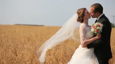 Şefkatle güzel gelini sarı buğday alanında süre öpüşme damat