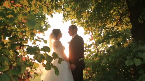 Romántico recién casados novia y novio compartir beso en increíble verde parque al atardecer — Vídeos de Stock