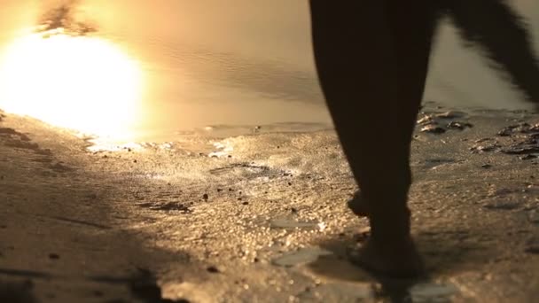 Närbild av kvinnliga fötter gå barfota på sandiga sjöstranden vid solnedgången — Stockvideo