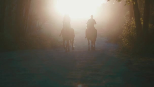 Deux cavaliers hommes et femmes chevauchant à cheval à travers une forêt brumeuse de hêtres d'automne à Heidelberg, Allemagne — Video