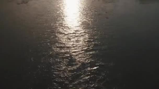 Matin calme et mystérieux sur le paysage fluvial. Lever de soleil et fond brumeux gris — Video