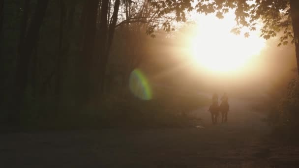 Par jockeys man och kvinna ridhästar genom gyllene hösten skogen upplyst av solnedgången. Romantisk promenad koncept — Stockvideo