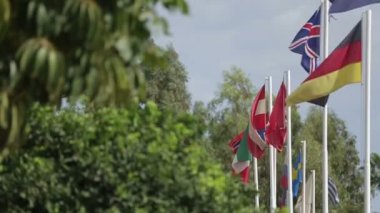 Rüzgarda çırpınan farklı ülkelerin bayrakları lots