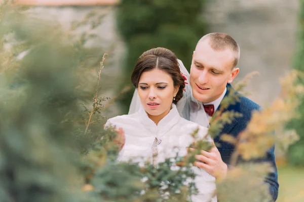 Glückliches Brautpaar, elegante Braut und liebevoller Bräutigam beim Hochzeitsspaziergang im schönen grünen Park — Stockfoto