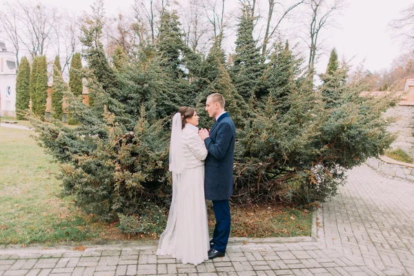 Feliz pareja de recién casados tomados de la mano en el paseo de la boda en el hermoso parque verde — Foto de Stock