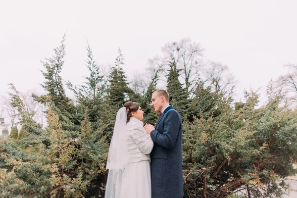 Happy newlywed couple holding hands and looking to each other at wedding walk on the beautiful green park — Stock Photo, Image