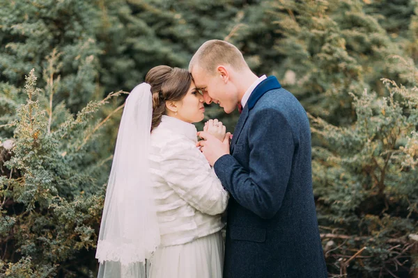 Feliz recém-casado ter doce momento de mãos dadas enquanto caminhava no parque verde — Fotografia de Stock