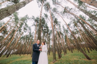 Mutlu şık yeni evli çift arka planda yüksek kozalaklı ağaçlar ile genç çam ormanında poz