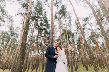 Heyecanlı yeni evli çift arka plan olarak yüksek ağaçlar ile genç çam ormanında poz