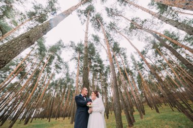 Genç çam ormanında poz veren neşeli çift