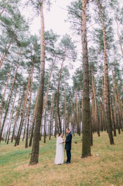 Yeşilçam ormanında el ele tutuşan yakışıklı damat ile sevimli beyaz giyimli gelin