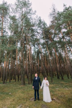 Güzel sadece evli çift yeşil kozalaklı ormanda poz. Tam uzunlukta dış mekan portresi